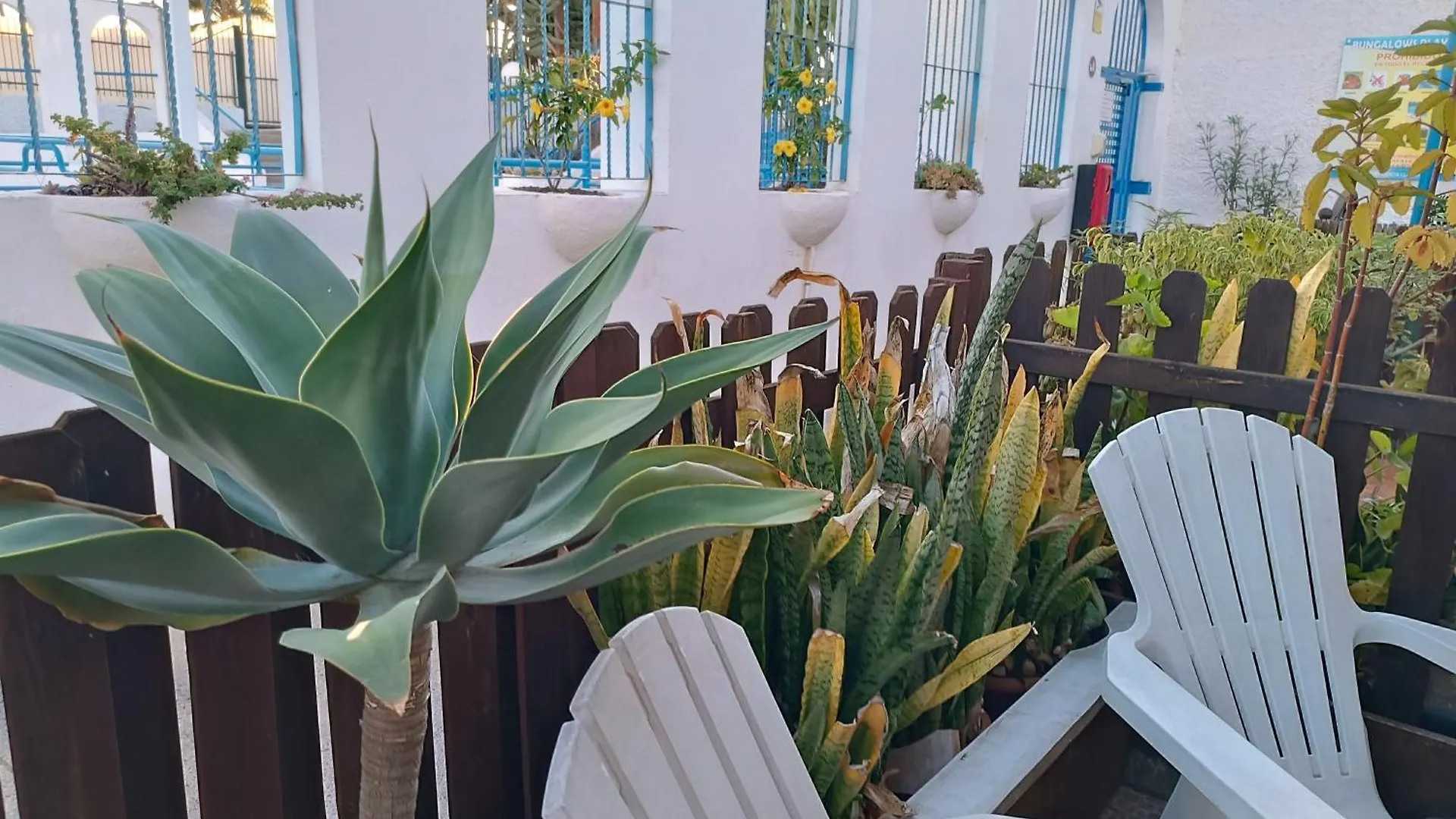 公寓 Amazing Bungalow With Wi-Fi For Relaxing Holidays 马斯帕洛马斯