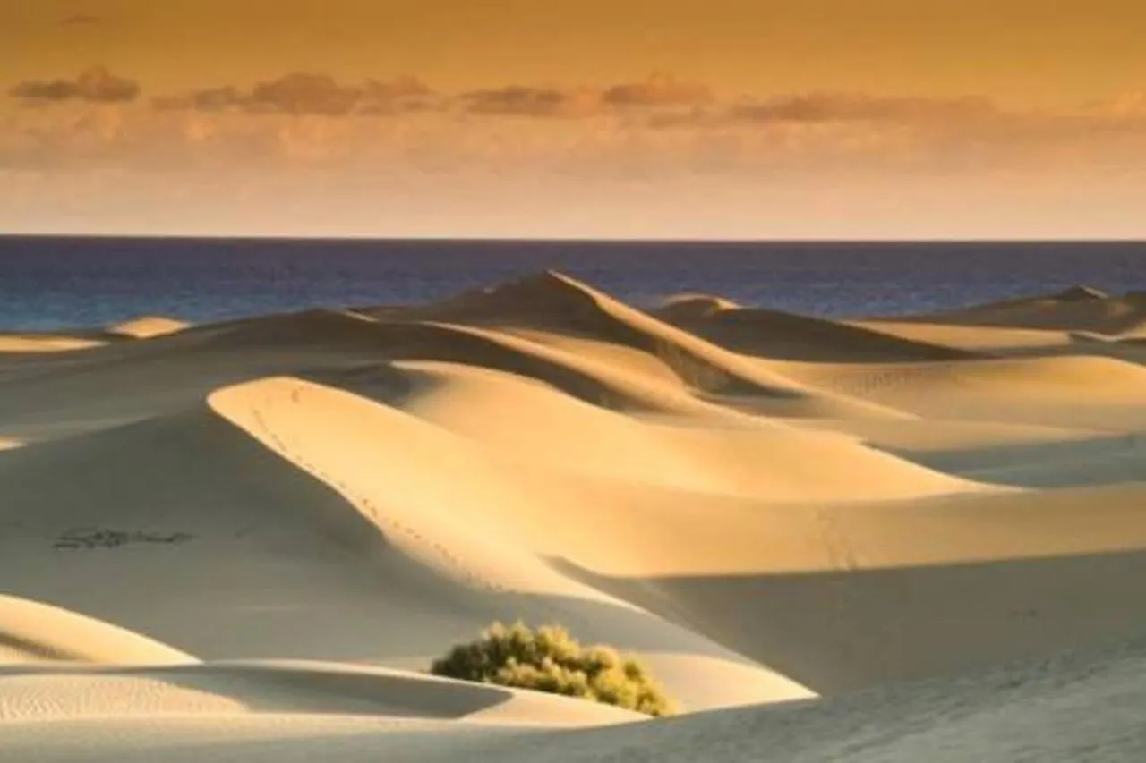 Amazing Bungalow With Wi-Fi For Relaxing Holidays Maspalomas  0*, Maspalomas (Gran Canaria)