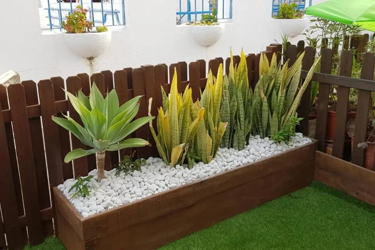 Apartment Amazing Bungalow With Wi-Fi For Relaxing Holidays Maspalomas